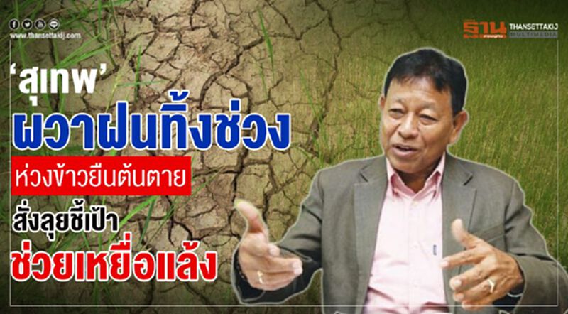 ‘สุเทพ’ ผวาฝนทิ้งช่วง ห่วงข้าวยืนต้นตายสั่งลุยชี้เป้าช่วยเหยื่อแล้ง ‘สุเทพ’ ผวาฝนทิ้งช่วง ห่วงข้าวยืนต้นตายสั่งลุยชี้เป้าช่วยเหยื่อแล้ง