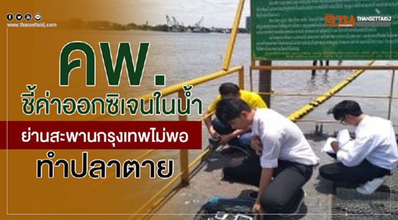 คพ.ชี้ค่าออกซิเจนในน้ำไม่พอทำปลาตายย่านสะพานกรุงเทพ คพ.ชี้ค่าออกซิเจนในน้ำไม่พอทำปลาตายย่านสะพานกรุงเทพ