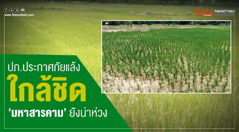 ปภ.ประกาศภัยแล้งใกล้ชิด 'มหาสารคาม' ยังน่าห่วง ปภ.ประกาศภัยแล้งใกล้ชิด 'มหาสารคาม' ยังน่าห่วง