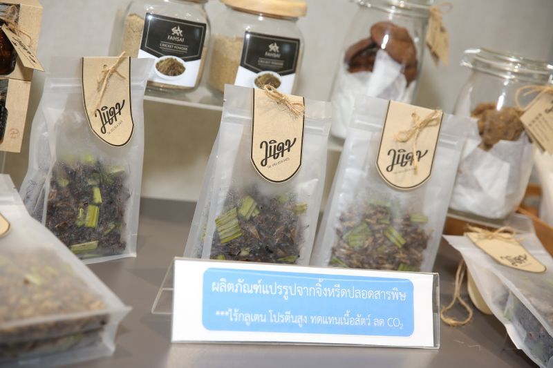 นำนวัตกรรม-เทคโนโลยี ปั้น‘สตรีต ฟู้ด’ ผงาดเวทีโลก