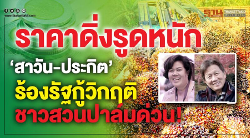 ราคาดิ่งหนัก ‘สาวัน-ประกิต’ ร้องรัฐกู้วิกฤติชาวสวนปาล์มด่วน! ราคาดิ่งหนัก ‘สาวัน-ประกิต’ ร้องรัฐกู้วิกฤติชาวสวนปาล์มด่วน!