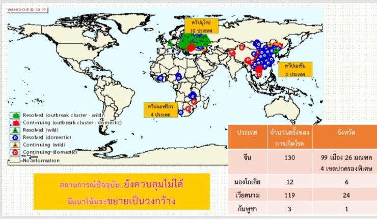 นายกหมูโต้ข่าวลือโรค ‘ASF’ ยังไม่ระบาดเข้าไทย