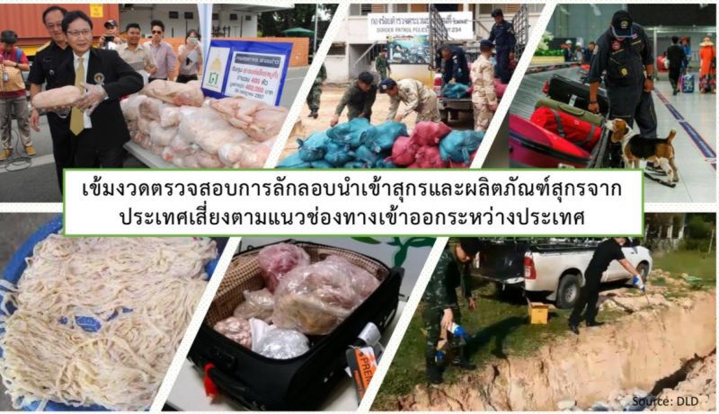 นายกหมูโต้ข่าวลือโรค ‘ASF’ ยังไม่ระบาดเข้าไทย