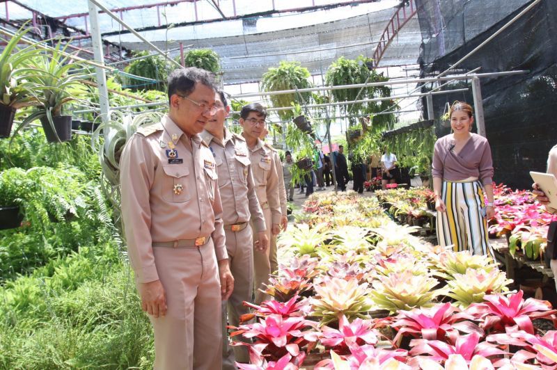 นนทบุรีเปิดงาน ถนนพรรณไม้งามเฉลิมพระเกียรติ