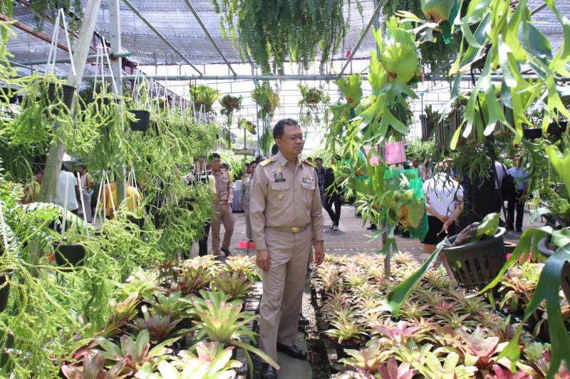 นนทบุรีเปิดงาน ถนนพรรณไม้งามเฉลิมพระเกียรติ