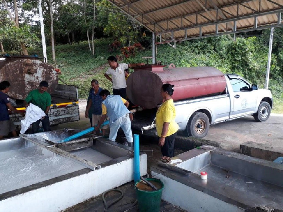 เดินหน้าถนนยางพาราเมืองคอน ประเดิมซื้อน้ำยาง 26 ตัน