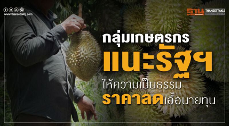 กลุ่มเกษตรกรแนะรัฐฯให้ความเป็นธรรมราคาลดเอื้อกลุ่มทุน กลุ่มเกษตรกรแนะรัฐฯให้ความเป็นธรรมราคาลดเอื้อกลุ่มทุน