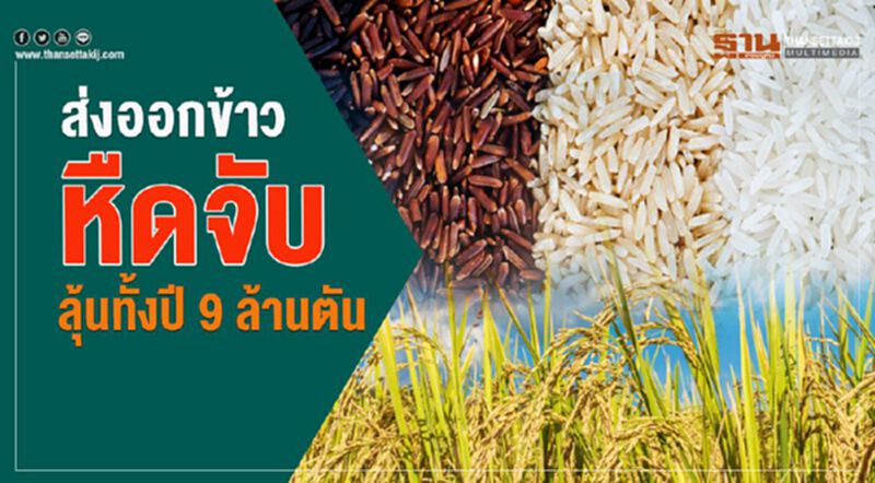 ส่งออกข้าวหืดจับ ลุ้นทั้งปี 9 ล้านตัน ส่งออกข้าวหืดจับ ลุ้นทั้งปี 9 ล้านตัน
