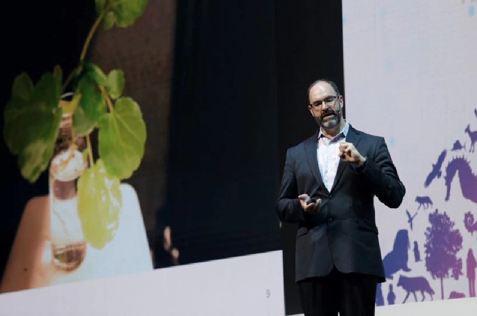 จาก Avatar สู่โลกความจริง ต้นไม้เรืองแสงกลายเป็นพลังงานสะอาดโลกอนาคต 