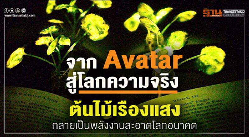 จาก Avatar สู่โลกความจริง ต้นไม้เรืองแสงกลายเป็นพลังงานสะอาดโลกอนาคต จาก Avatar สู่โลกความจริง ต้นไม้เรืองแสงกลายเป็นพลังงานสะอาดโลกอนาคต