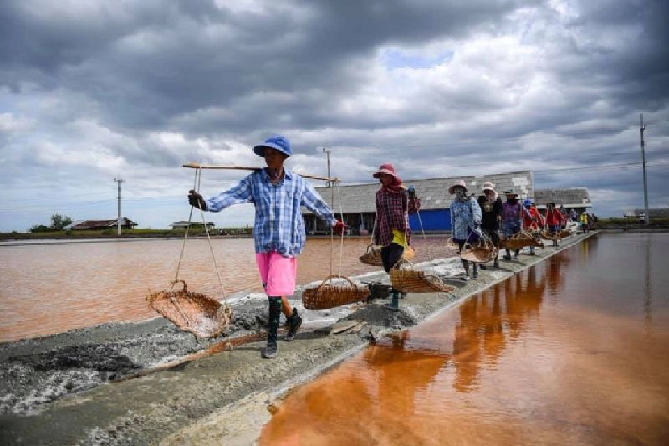 เกลืออินเดียทะลักทุบราคาดิ่ง มกอช.ดันมาตรฐาน GAP แข่ง