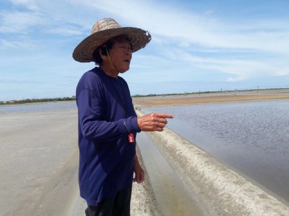 เกลืออินเดียทะลักทุบราคาดิ่ง มกอช.ดันมาตรฐาน GAP แข่ง