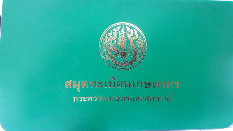 วิพากษ์ ‘ประกันรายได้’ ผวาจะทำให้ชาวนาเสียคน