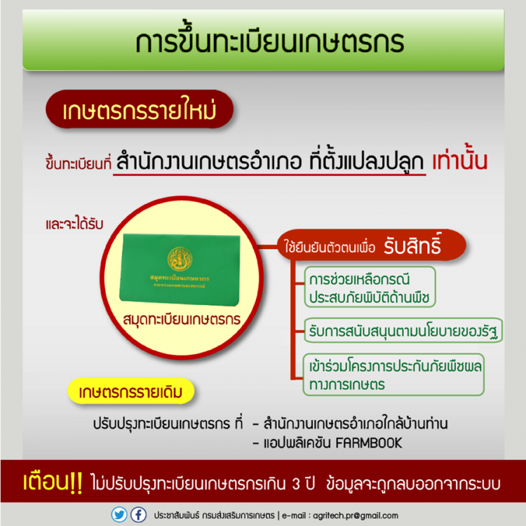 วิพากษ์ ‘ประกันรายได้’ ผวาจะทำให้ชาวนาเสียคน