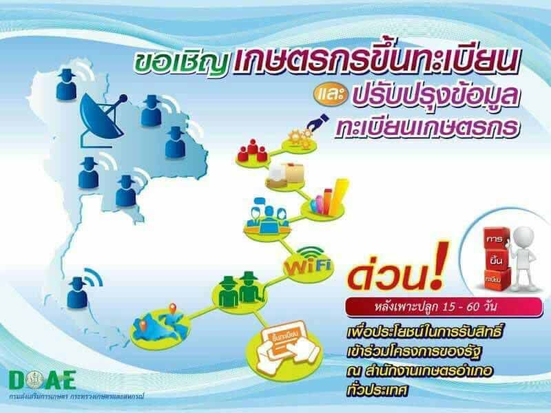 วิพากษ์ ‘ประกันรายได้’ ผวาจะทำให้ชาวนาเสียคน
