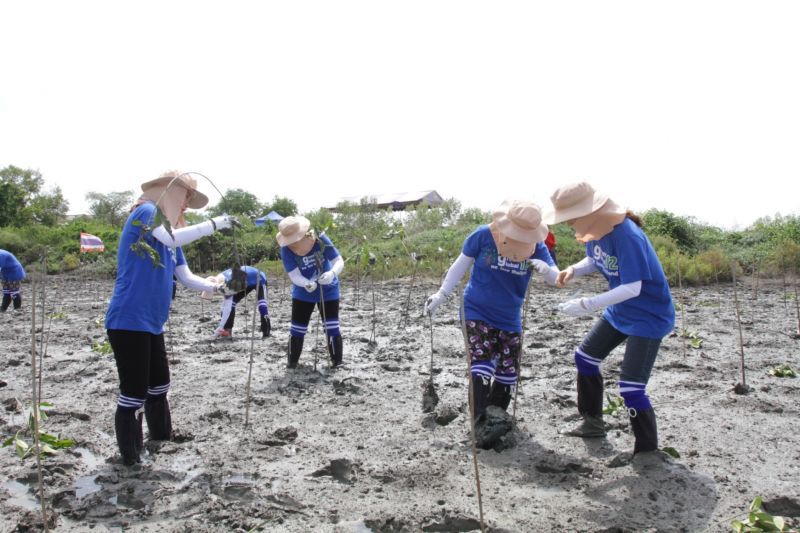 ซัมซุงประกันชีวิต ไทย-เกาหลี สานต่อโครงการ Green Global Project