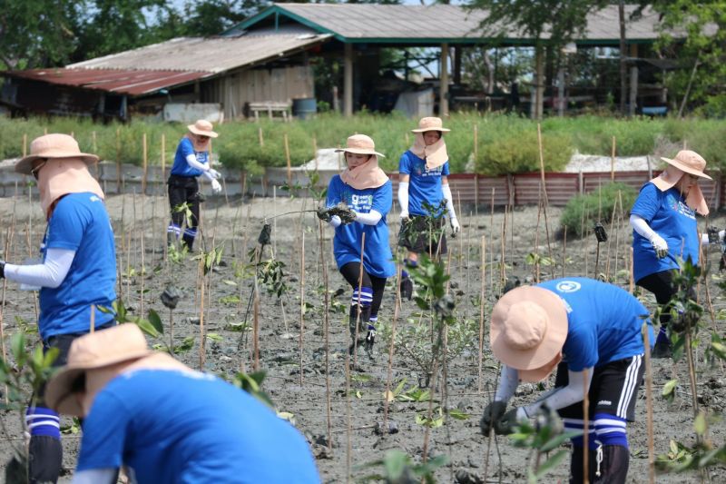 ซัมซุงประกันชีวิต ไทย-เกาหลี สานต่อโครงการ Green Global Project