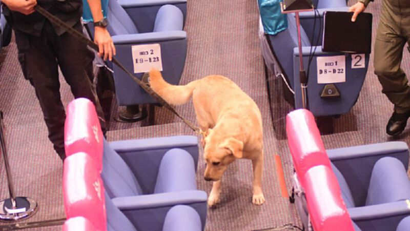 (ภาพชุด) “น้องหมา” อารักขาห้องประชุมสภาฯ (ภาพชุด) “น้องหมา” อารักขาห้องประชุมสภาฯ