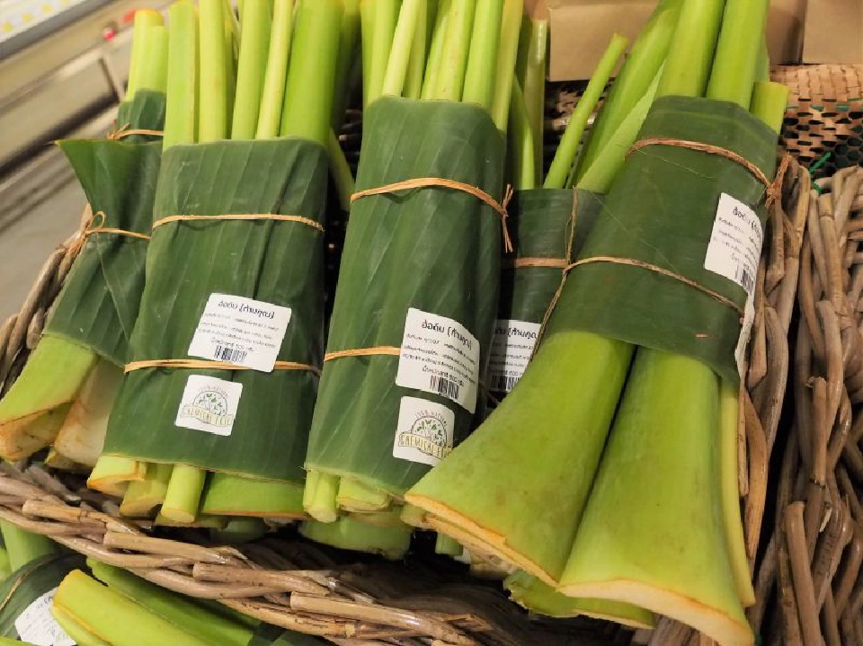 ‘แม็คโคร’ ช่วยเกษตรกรใต้หนุนผักพื้นบ้านขึ้นห้าง