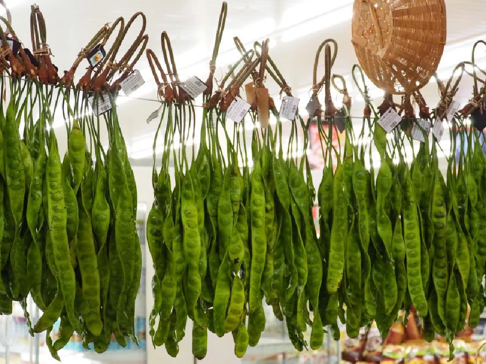 ‘แม็คโคร’ ช่วยเกษตรกรใต้หนุนผักพื้นบ้านขึ้นห้าง