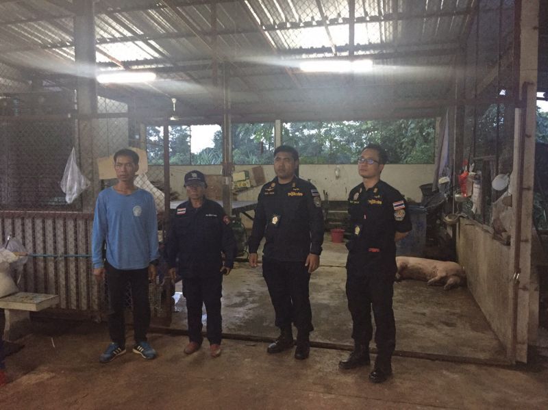 ปศุสัตว์บุกจับโรงฆ่าหมูเถื่อนกลางเมืองนครพนม