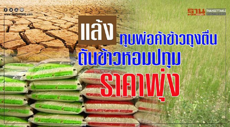 แล้งทุบพ่อค้าข้าวถุงตื่นดันข้าวหอมปทุมราคาพุ่ง แล้งทุบพ่อค้าข้าวถุงตื่นดันข้าวหอมปทุมราคาพุ่ง