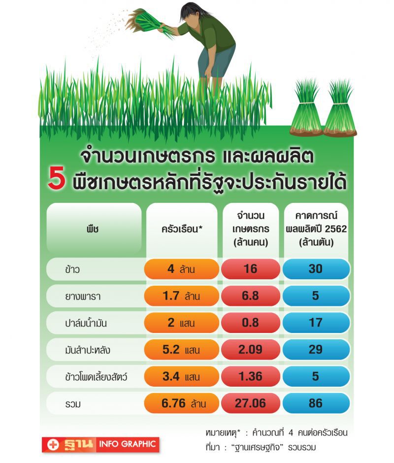 ‘ข้าว-ยาง-ปาล์ม’กระทุ้งรัฐ  สร้างเสถียรภาพราคาแทนแจกเงิน