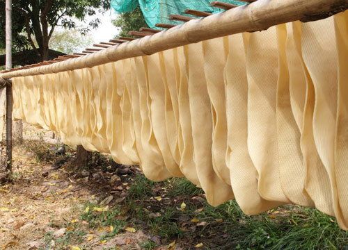‘ข้าว-ยาง-ปาล์ม’กระทุ้งรัฐ  สร้างเสถียรภาพราคาแทนแจกเงิน