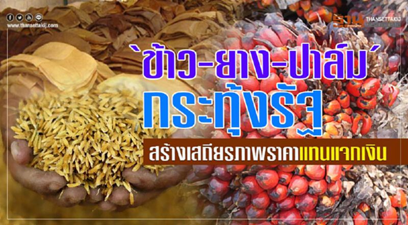 ‘ข้าว-ยาง-ปาล์ม’กระทุ้งรัฐ สร้างเสถียรภาพราคาแทนแจกเงิน ‘ข้าว-ยาง-ปาล์ม’กระทุ้งรัฐ สร้างเสถียรภาพราคาแทนแจกเงิน