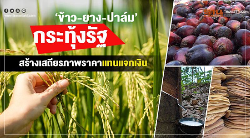 ‘ข้าว-ยาง-ปาล์ม’กระทุ้งรัฐ สร้างเสถียรภาพราคาแทนแจกเงิน ‘ข้าว-ยาง-ปาล์ม’กระทุ้งรัฐ สร้างเสถียรภาพราคาแทนแจกเงิน