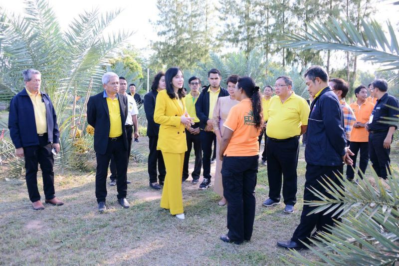 ‘มนัญญา’ ปั้นอินทผลัมพืชเศรษฐกิจตัวใหม่สร้างรายได้ยั่งยืน