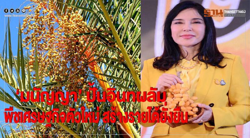 ‘มนัญญา’ ปั้นอินทผลัมพืชเศรษฐกิจตัวใหม่สร้างรายได้ยั่งยืน ‘มนัญญา’ ปั้นอินทผลัมพืชเศรษฐกิจตัวใหม่สร้างรายได้ยั่งยืน