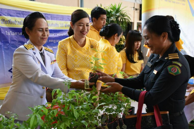 รฟม. ร่วมกิจกรรมแจกกล้าไม้ “ทองอุไร” เนื่องในโอกาสวันเฉลิมพระชนมพรรษา