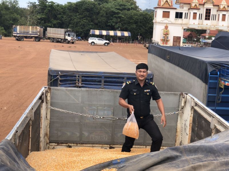 ปศุสัตว์ตรวจเข้ม! วัตถุดิบ ใช้ผลิตอาหารสัตว์ ป้องอหิวาต์แอฟริกาในสุกร