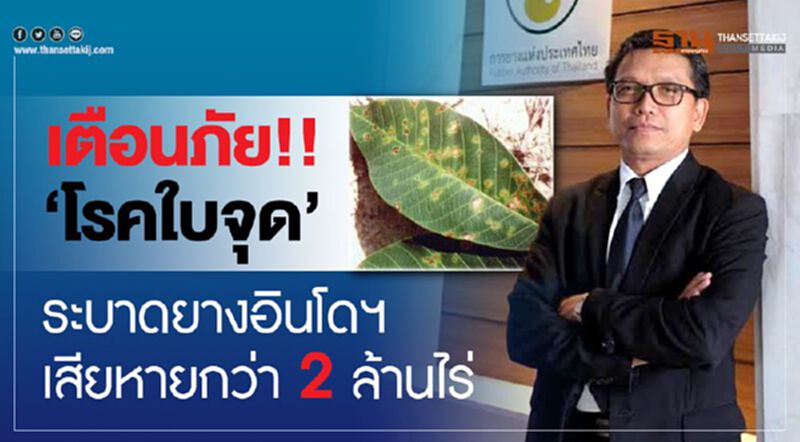 เตือนภัย!! ‘โรคใบจุด’ระบาดยางอินโดฯเสียหายกว่า 2 ล้านไร่ เตือนภัย!! ‘โรคใบจุด’ระบาดยางอินโดฯเสียหายกว่า 2 ล้านไร่