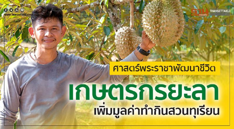ศาสตร์พระราชาพัฒนาชีวิต เกษตรกรยะลาเพิ่มมูลค่าทำกินสวนทุเรียน ศาสตร์พระราชาพัฒนาชีวิต เกษตรกรยะลาเพิ่มมูลค่าทำกินสวนทุเรียน