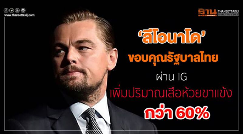 โพสต์สนั่นโลก! 'ลีโอนาโด'ขอบคุณรัฐบาลไทยผ่านไอจี เพิ่มปริมาณเสือห้วยขาแข้งกว่า 60% โพสต์สนั่นโลก! 'ลีโอนาโด'ขอบคุณรัฐบาลไทยผ่านไอจี เพิ่มปริมาณเสือห้วยขาแข้งกว่า 60%