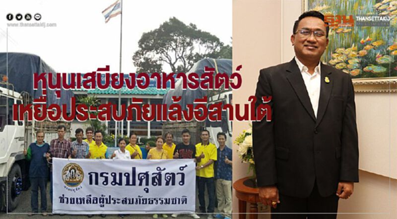 หนุนเสบียงอาหารสัตว์เหยื่อประสบภัยแล้งอีสานใต้ หนุนเสบียงอาหารสัตว์เหยื่อประสบภัยแล้งอีสานใต้
