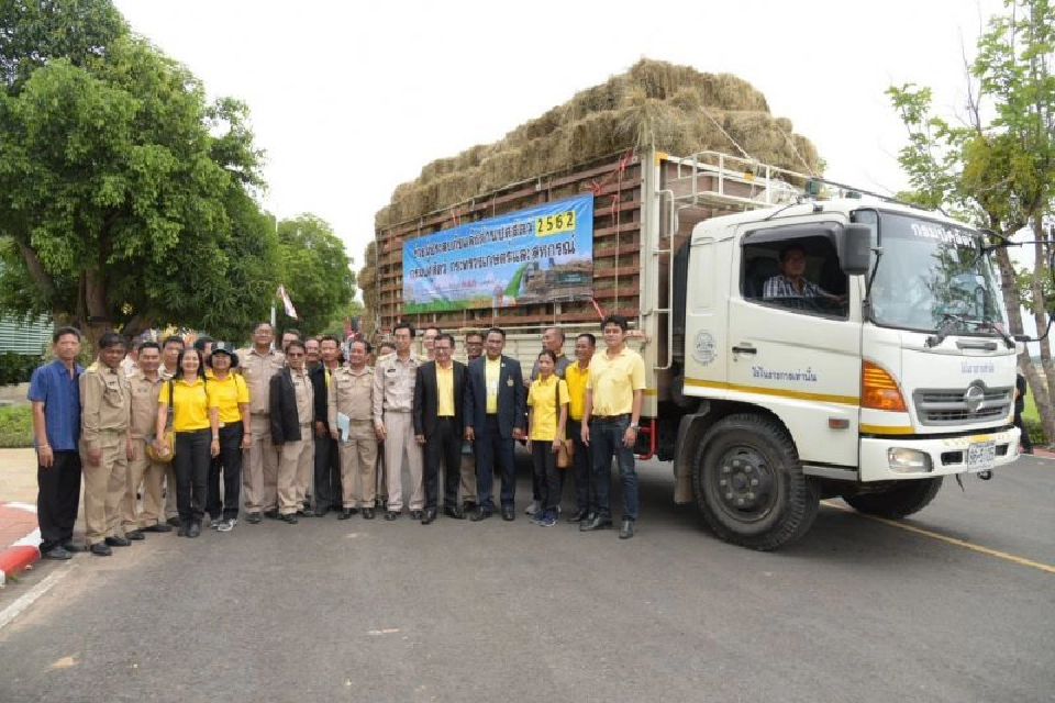 "เฉลิมชัย" บินด่วนสู้ภัยแล้ง กู้วิกฤติหอมมะลิทุ่งกุลาฯ