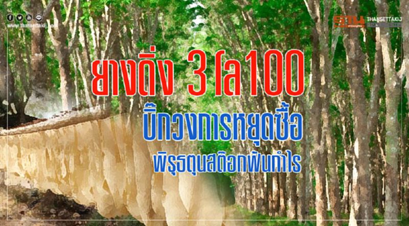 ยางดิ่ง 3 โล100 บิ๊กวงการหยุดซื้อ พิรุธตุนสต๊อกฟันกำไร ยางดิ่ง 3 โล100 บิ๊กวงการหยุดซื้อ พิรุธตุนสต๊อกฟันกำไร