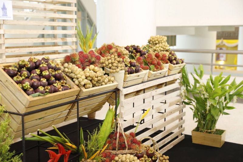 แม็คโครขานรับนโยบายรัฐหนุนชาวสวนรับซื้อผลไม้ฤดูกาลคุณภาพ4.8พันตัน