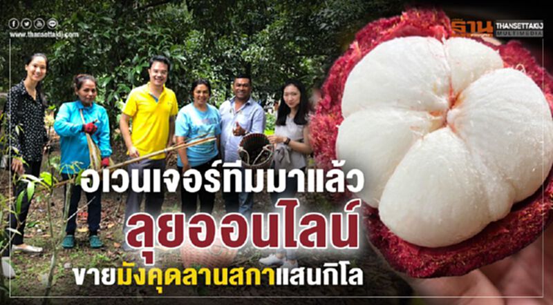 อเวนเจอร์ทีมมาแล้ว ลุยออนไลน์ขายมังคุดลานสกาแสนกิโล อเวนเจอร์ทีมมาแล้ว ลุยออนไลน์ขายมังคุดลานสกาแสนกิโล