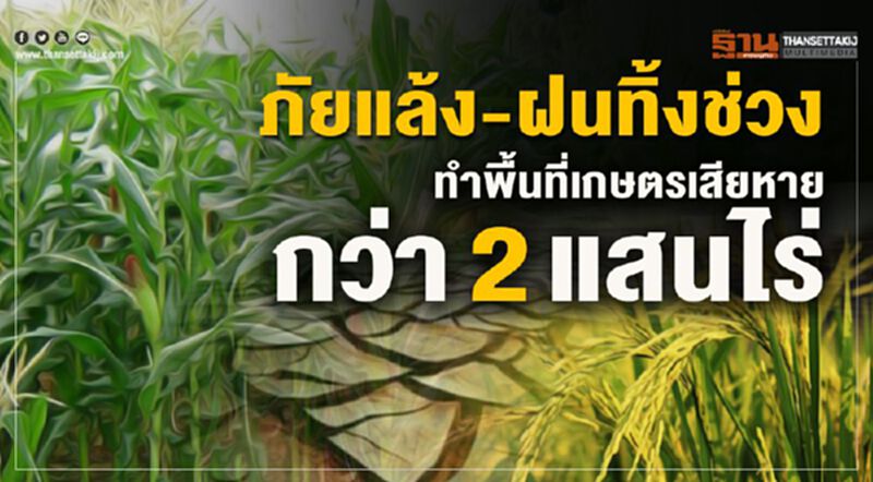 ภัยแล้ง-ฝนทิ้งช่วงทำพื้นที่เกษตรเสียหายกว่า 2 แสนไร่ ภัยแล้ง-ฝนทิ้งช่วงทำพื้นที่เกษตรเสียหายกว่า 2 แสนไร่