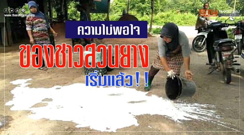 ความไม่พอใจของชาวสวนยาง เริ่มแล้ว !! ความไม่พอใจของชาวสวนยาง เริ่มแล้ว !!