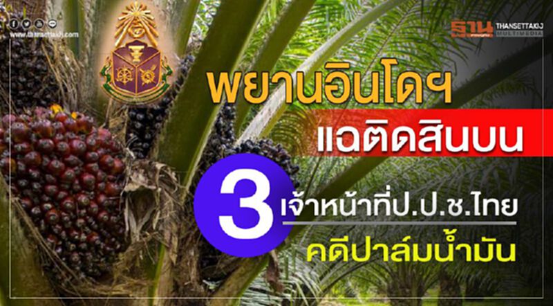 พยานอินโดฯแฉติดสินบน3เจ้าหน้าที่ป.ป.ช.ไทยคดีปาล์มนํ้ามัน พยานอินโดฯแฉติดสินบน3เจ้าหน้าที่ป.ป.ช.ไทยคดีปาล์มนํ้ามัน