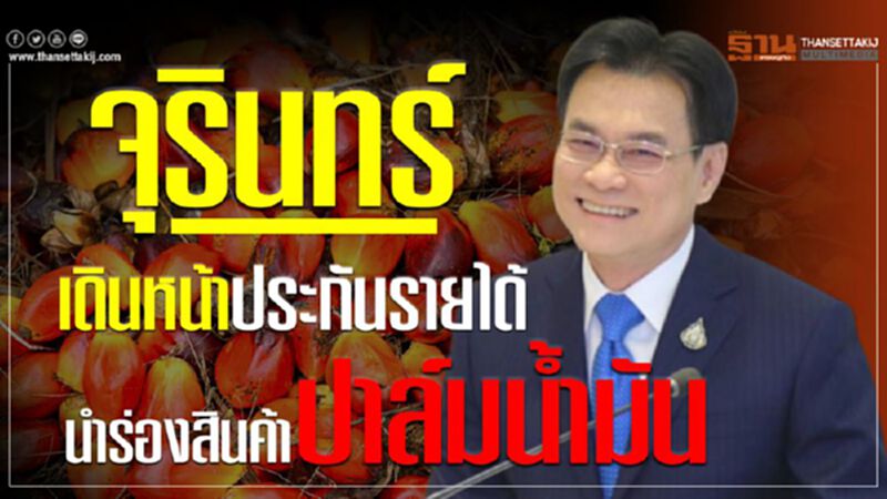 จุรินทร์เดินหน้าประกันรายได้ นำร่องสินค้าปาล์มน้ำมัน จุรินทร์เดินหน้าประกันรายได้ นำร่องสินค้าปาล์มน้ำมัน