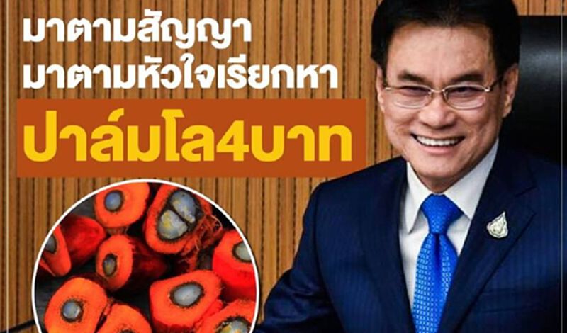 ตามสัญญา ‘จุรินทร์’เคาะประกันรายได้ปาล์ม 4 บาท/กก.ไม่เกิน 25 ไร่ ตามสัญญา ‘จุรินทร์’เคาะประกันรายได้ปาล์ม 4 บาท/กก.ไม่เกิน 25 ไร่