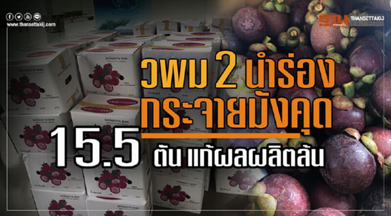 วพม 2 นำร่องกระจายมังคุด 15.5 ตันแก้ผลผลิตล้น วพม 2 นำร่องกระจายมังคุด 15.5 ตันแก้ผลผลิตล้น