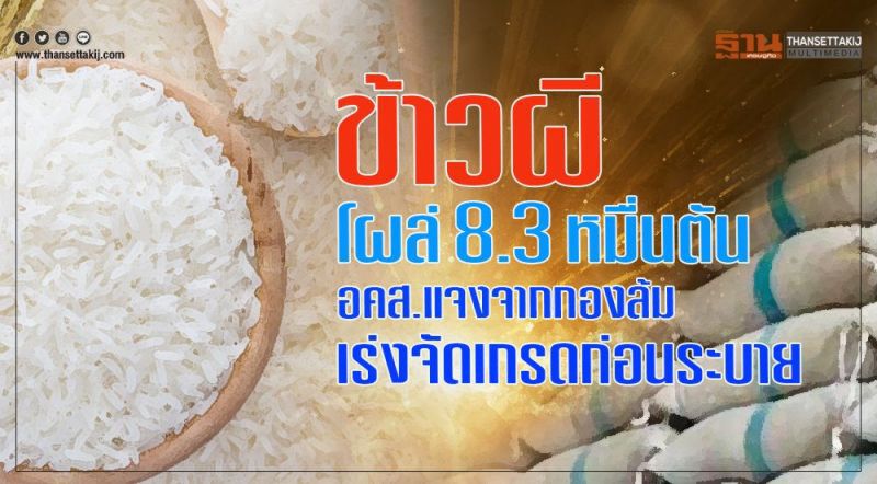 เราพร้อมเสิร์ฟข่าวที่คุณพลาดไม่ได้ 