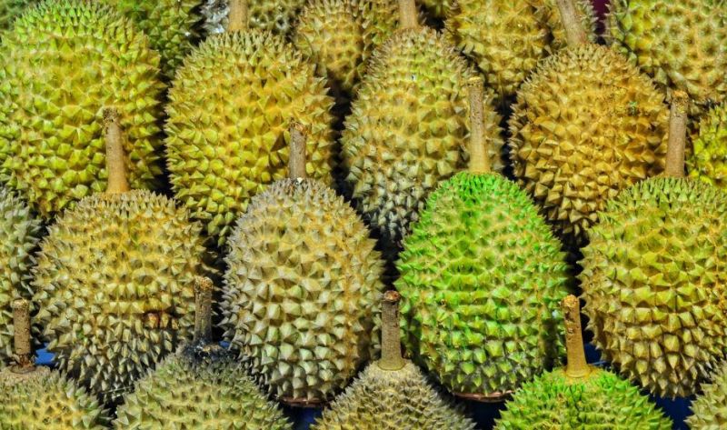 เทียบฟอร์มสินค้าเกษตรไทยในจีน บนเส้นทาง  “แข่งเดือด-คู่แข่งอื้อ”